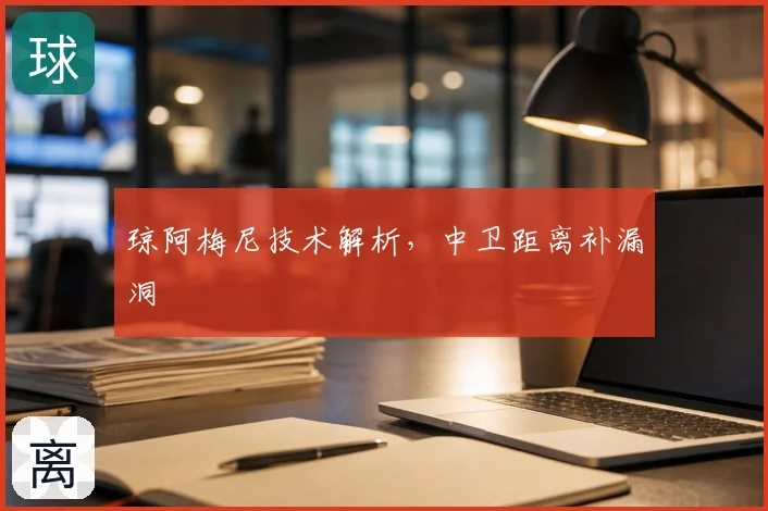 琼阿梅尼技术解析，中卫距离补漏洞